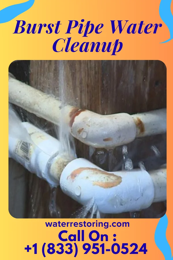 Burst Pipe Water Cleanup in Winchester, WI