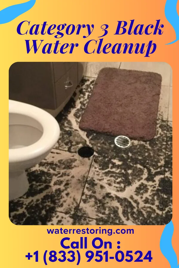 Category 3 Black Water Cleanup in Winchester, WI