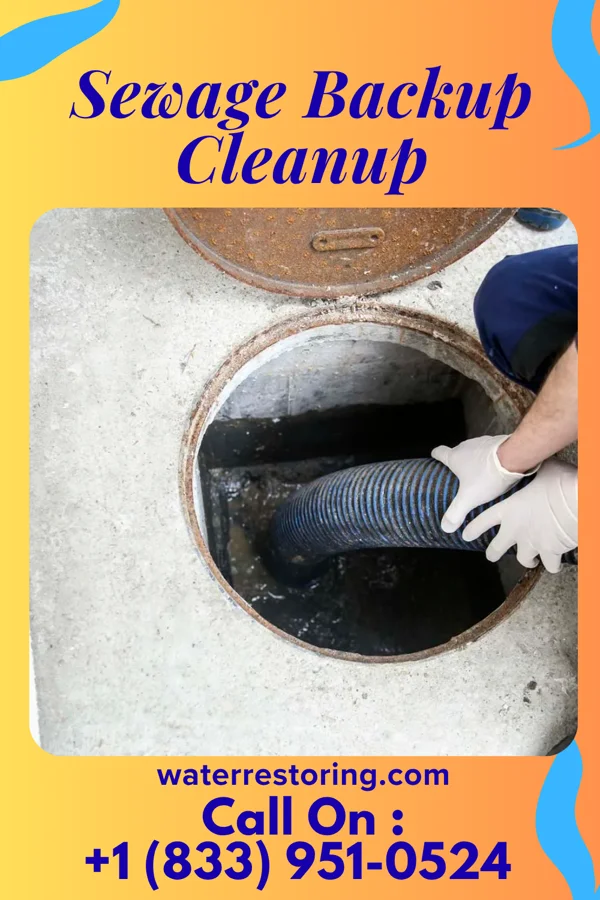 Sewage Backup Cleanup in Winchester, WI
